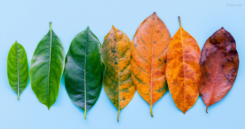 Change Management Certification: Career Accelerator in 2026