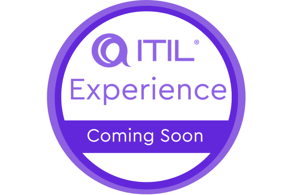 ITIL® Experience Course & Examination